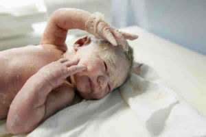 Os bebes possuem defesa imunológica ao nascer?